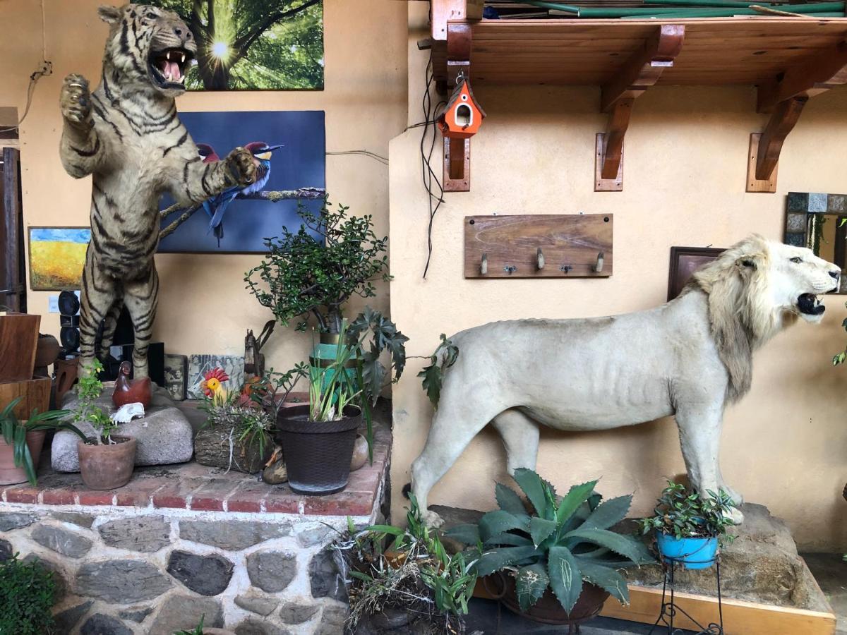 Hotel Quinta Angelica Mazamitla Buitenkant foto